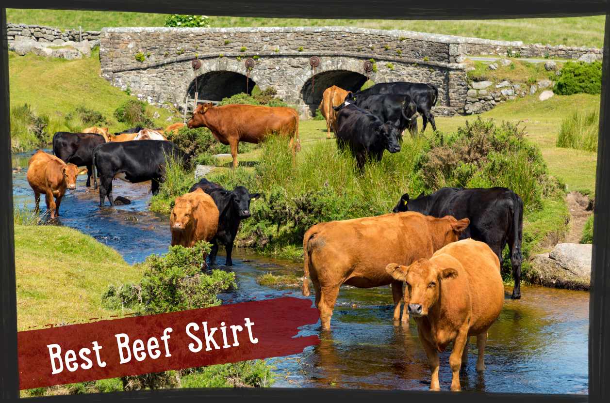 Meet our Meat - From Farm to Fork